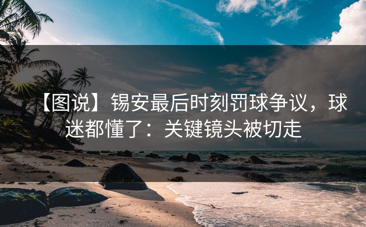 【图说】锡安最后时刻罚球争议，球迷都懂了：关键镜头被切走