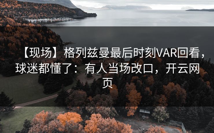 【现场】格列兹曼最后时刻VAR回看，球迷都懂了：有人当场改口，开云网页