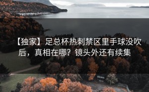 【独家】足总杯热刺禁区里手球没吹后，真相在哪？镜头外还有续集
