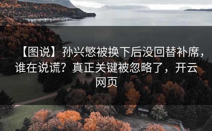 【图说】孙兴慜被换下后没回替补席，谁在说谎？真正关键被忽略了，开云网页